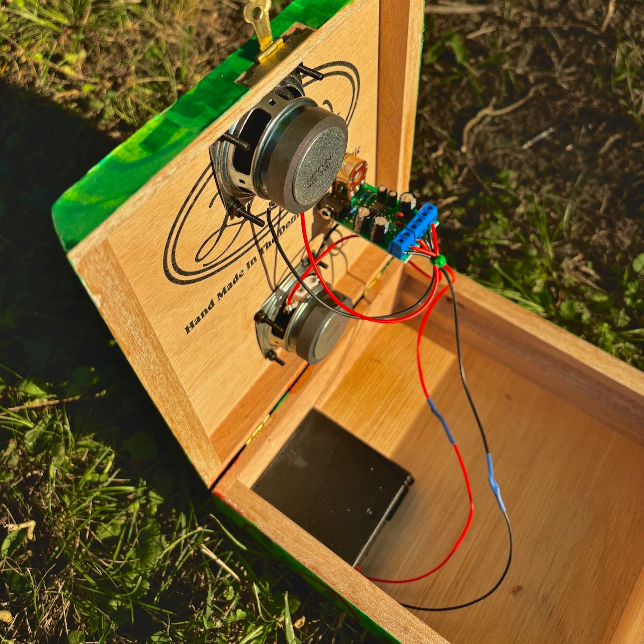 folk art stereo speaker #7 (green2)