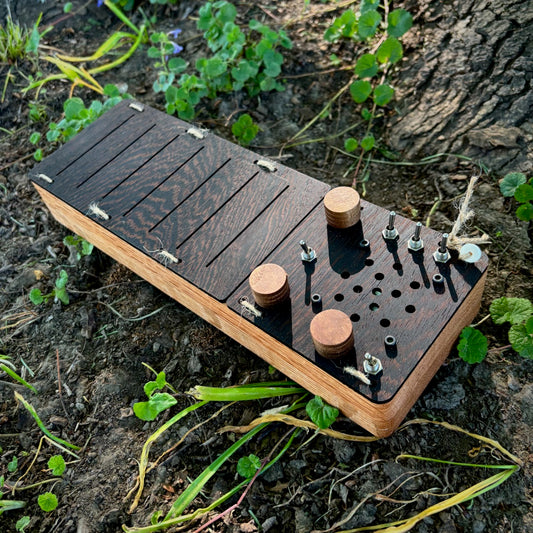 lil' dream organ